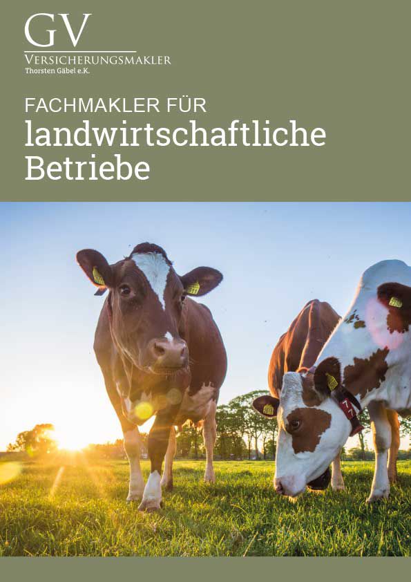 Makler Broschüre
